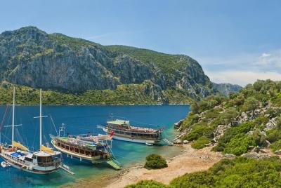 Excursión en barco a la isla Camellia