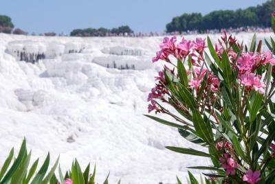 Excursión de un día a Pamukkale desde Selcuk Excursión de un día a Pamukkale desde Selcuk