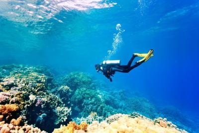 Buceo en Side Buceo en Side