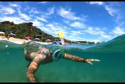 Gold Tip, viaje de un día