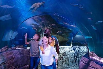 Entrada a SEA LIFE London Aquarium Entrada a SEA LIFE London Aquarium