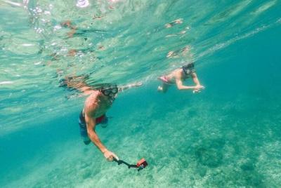 Boleto de entrada a Coral World y Coki Point Beach con snorkel