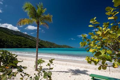 Paradise Taxi & Tours USVI-St. Thomas-Islas Vírgenes-Island Magen