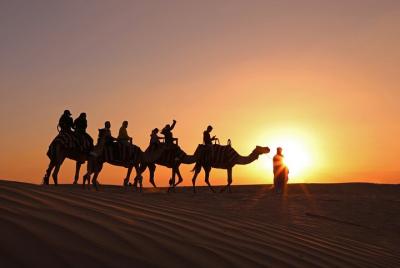 Abu Dhabi: Sunset Camel Trek y cena de barbacoa con espectáculos