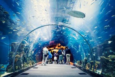 Entradas para el acuario de Dubai y el zoológico submarino