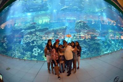Combo Super Saver: - Dubai Aquarium & Underwater Zoo