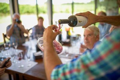 Pizzorno Wine Experience: experiencia guiada y privada con recogi