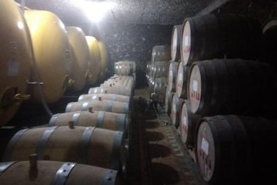 Cata de vinos en Samarcanda