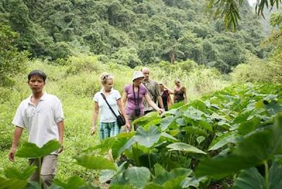 Tour privado Cat Ba National Park Long Trek Full Day