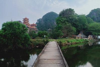 Montañas de mármol Vietnam, mono de montaña, paso Hai Van
