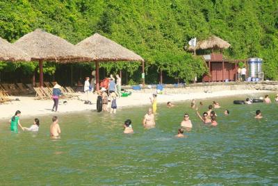 Crucero de 6 horas por la bahía de Halong en la isla Titop y nata Crucero de 6 horas por la bahía de Halong en la isla Titop y nata