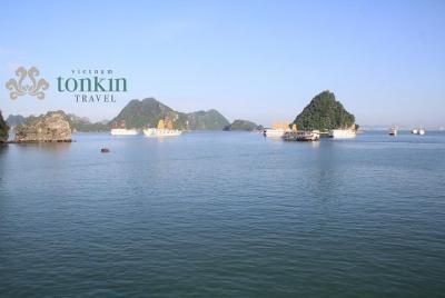 Bahía de Halong 10 horas de crucero: kayak, natación, espeleologí Bahía de Halong 10 horas de crucero: kayak, natación, espeleologí