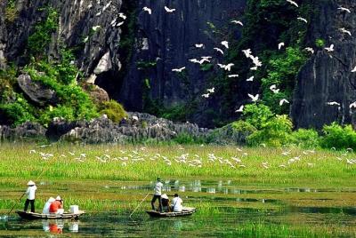 Excelente excursión de un día: Hoa Lu-Tam Coc-Mua Cave-Trang An . Excelente excursión de un día: Hoa Lu-Tam Coc-Mua Cave-Trang An .
