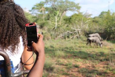 Parque Nacional Kissama Safari