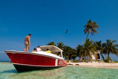 Practique snorkel en la isla tropical perfecta Caye de seda con t