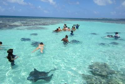 Island Safari y Stingray Fantasy Antigua