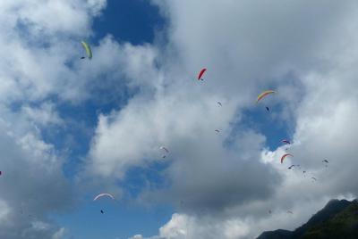 Parapente con piloto experimentado Parapente con piloto experimentado