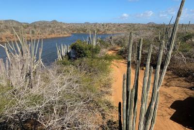 Lugares turísticos en Kralendijk Cosas que hacer en Kralendijk 183054