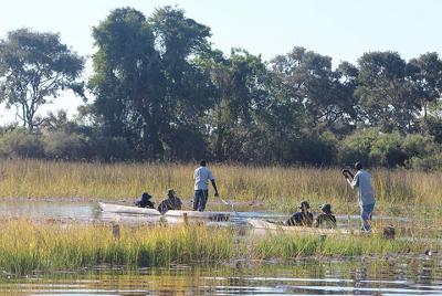 Un día Mokoro Safari