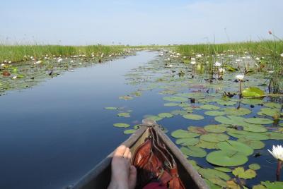 Safari de 3 días en el Delta del Okavango, todo incluido