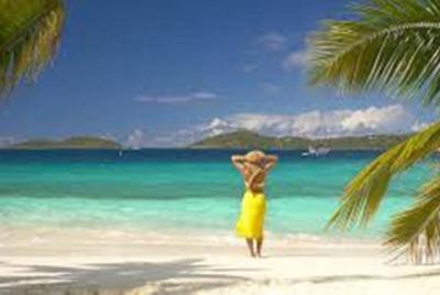 Paquete de almuerzo en la playa de Tortola Paquete de almuerzo en la playa de Tortola