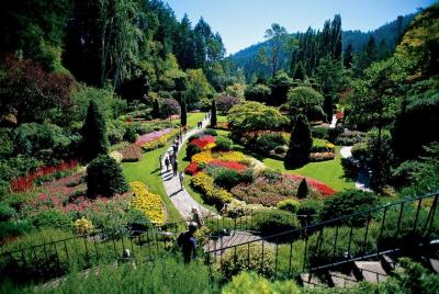Visita a los Jardines de Victoria y los Butchart desde Vancouver Visita a los Jardines de Victoria y los Butchart desde Vancouver
