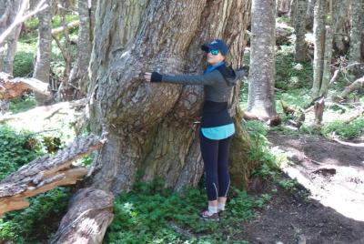Caminata privada de medio día por el bosque patagónico