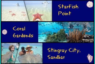 Aventura con 3 paradas para ver estrellas de mar, rayas y un jardín de coral Aventura con 3 paradas para ver estrellas de mar, rayas y un jardín de coral