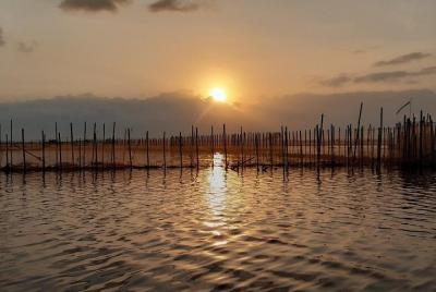 Amanecer en la laguna de Tam Giang Amanecer en la laguna de Tam Giang