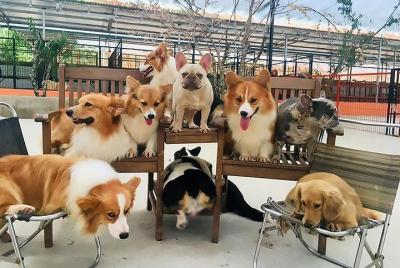 ZOODOO Da Lat Day Tour