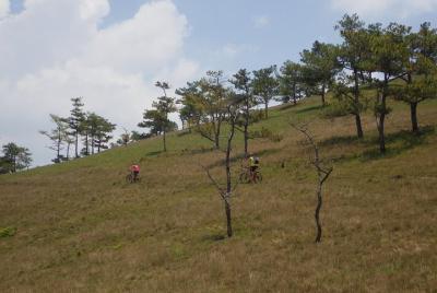 Bicicleta en la espalda del dragón en Dalat