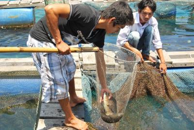 Tour privado de pesca y snorkel en Nha Trang