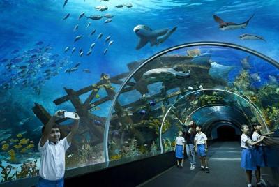 PATRIMONIO CULTURAL 8 horas (almuerzo, boleto de entrada, boleto 