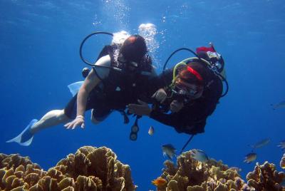 Excursión de un día Buceo Nha Trang en la isla de Hon Mun Excursión de un día Buceo Nha Trang en la isla de Hon Mun