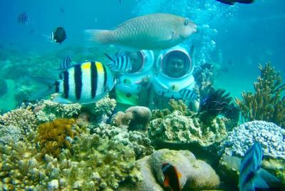 Tour compartido de isla en isla por SpeedBoat Plus Sea Walk