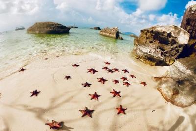 Land Tour 2: Descubre el norte - Kayak y playa Starfish Phu Quoc Land Tour 2: Descubre el norte - Kayak y playa Starfish Phu Quoc