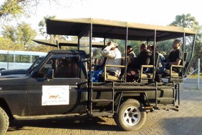 Game Drive - Parque Nacional Mosi O Tunya
