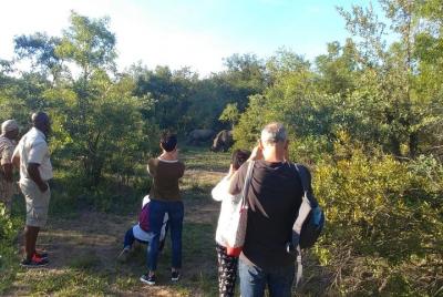 Game Drive y Rhino Walk Safari