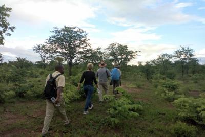 Rhino y paseo por la naturaleza en el Parque Nacional de Musiotun