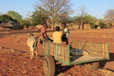 Tour al pueblo de Mukuni. El verdadero sabor de la vida africana 