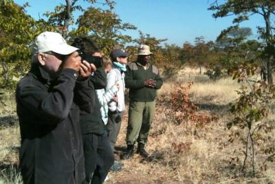  Safari a pie de rinocerontes