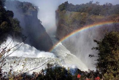 Visita guiada de las cataratas Victoria