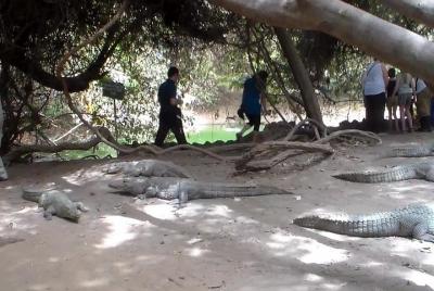 Excursión privada de medio día a la ciudad de Banujl