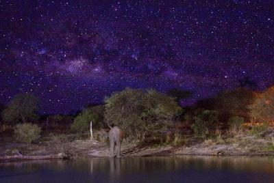 Mirando las estrellas en el desierto (Harare Night's Tour)