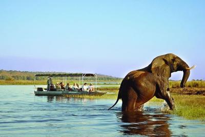 9 días y 8 noches alrededor de Zimbabwe Safari Plus Chobe Day Tri