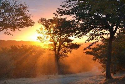 Tour privado de las cataratas al amanecer