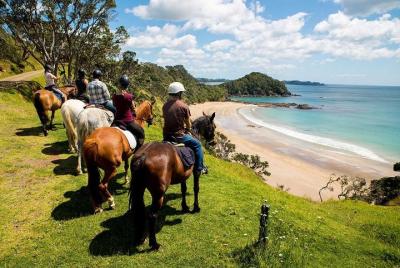 Excursión combinada de medio día en Roatán a caballo, tirolina, m