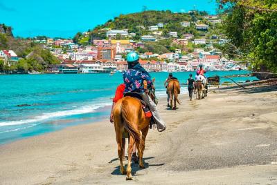 Lugares turísticos en Grand Anse Cosas que hacer en Grand Anse 498090177