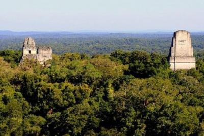 Excursión a Tikal de un día por aire desde la ciudad de Guatemala Excursión a Tikal de un día por aire desde la ciudad de Guatemala