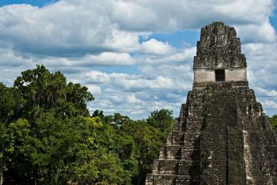 Excursión de un día a Tikal en avión desde Antigua con almuerzo